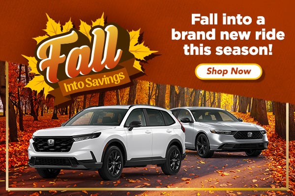 Fall into Savings