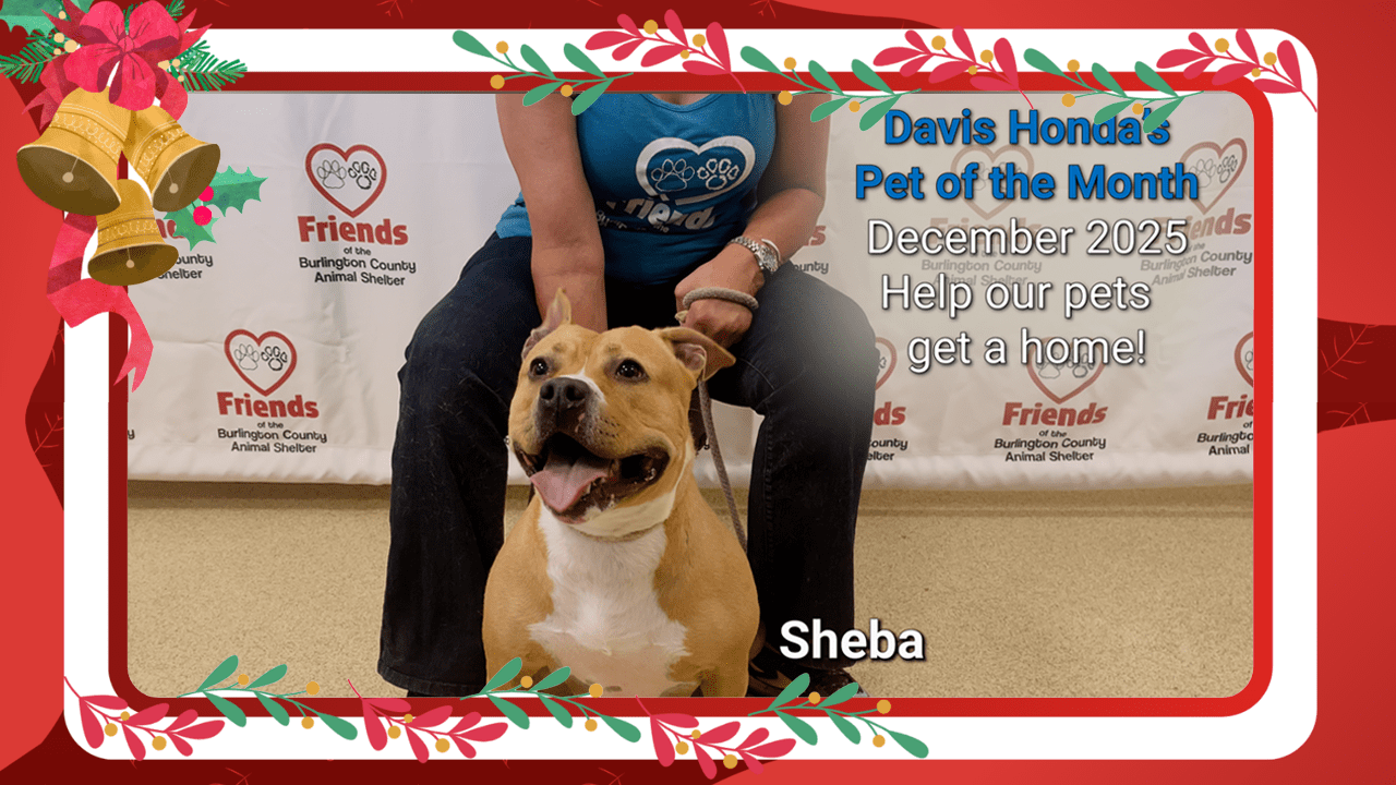 December Pet of the Month