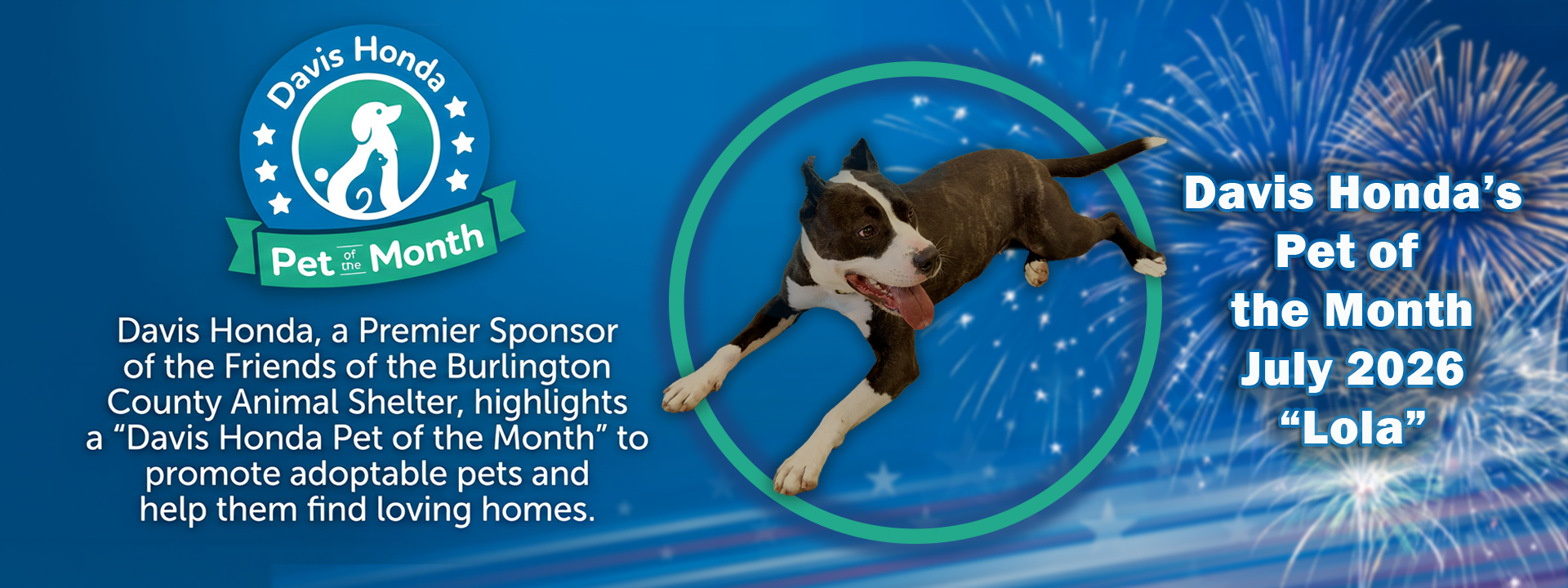 Pet of the month July " Lola " at Davis Honda in Burlington NJ